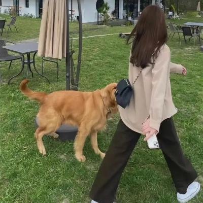 使徒行者2粤语